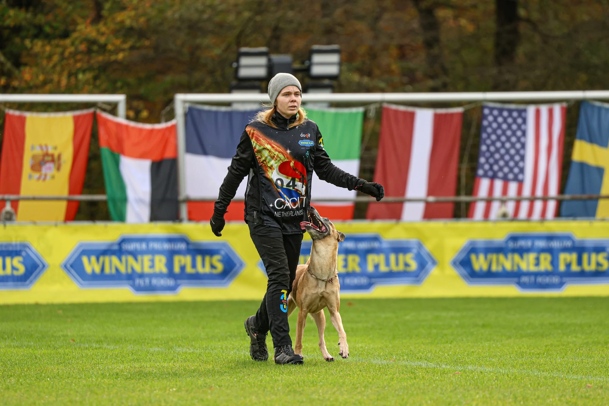 Dog about us landing page pic