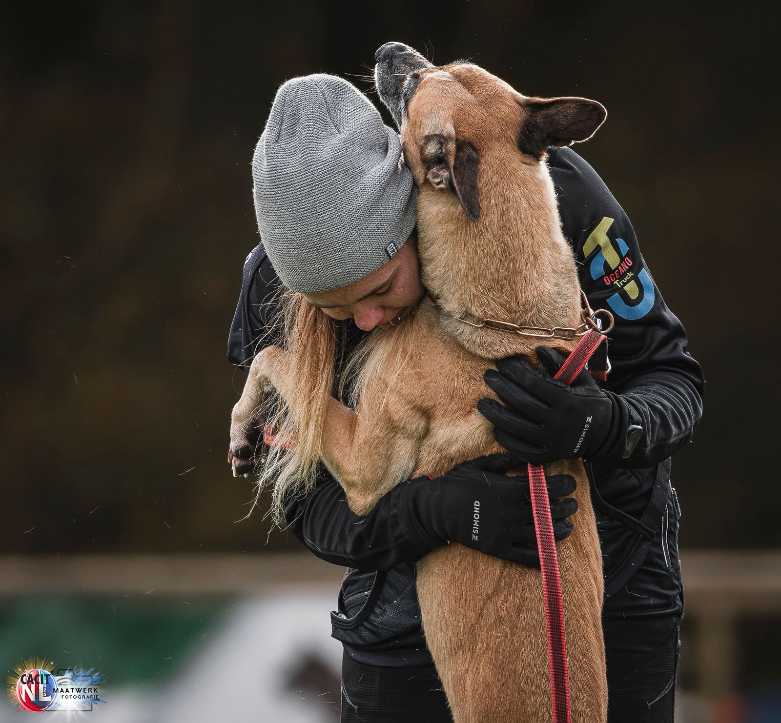 Landing picture of dog